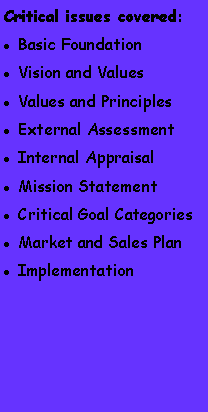 Text Box: Critical issues covered:Basic FoundationVision and ValuesValues and PrinciplesExternal AssessmentInternal AppraisalMission StatementCritical Goal CategoriesMarket and Sales PlanImplementation